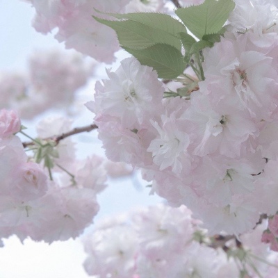 Furry数字绘画入门指南兽圈社群